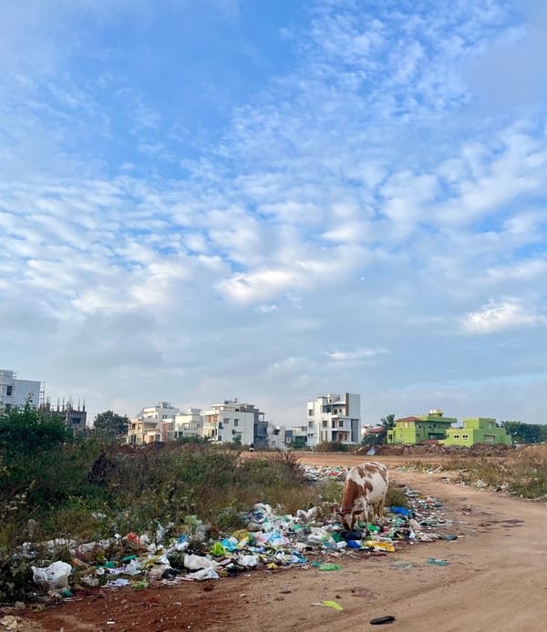 ಕಸ ಮತ್ತು ಪವಿತ್ರ ಹಸು / The trash and the holy cow